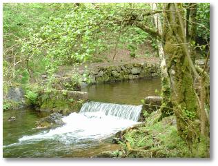 A pictureque view of the river taw.