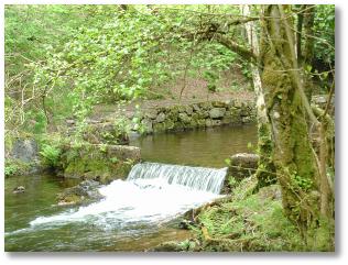 A pictureque view of the river taw.